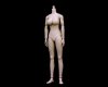 1/6 Scale Female Big Breast Body in Pale Skin ZY-N001 by ZYToys