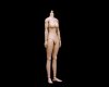 1/6 Scale Caucasian Female Medium Breast Body ZY-N004 by ZYToys