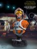 SDCC 1:6 Luke Skywalker X-Wing Pilot 40th Anniversary Classic Bust 