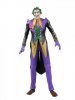 DC Unlimited 2013 Series 3 The Joker (Injustice) Action Figures Mattel