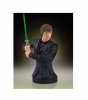SDCC 2018 1/6 Star Wars Luke Skywalker ROTJ Mini Bust Gentle Giant