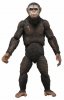 Dawn of the Planet of the Apes Series 1 Caesar 7 inch Figure Neca