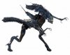 Aliens Xenomorph Queen Ultra Deluxe Boxed Action Figure by NECA
