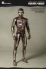 World Box 1:6 Sixth Scale Action Figure Totem Body with Head WB-AT007