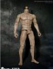 1/6 Collectible Anatomically Articulate Body Without Head Carving JC