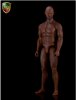 1/6 Black Muscular Body Bruce AB12 Action Figure Aci Toys