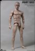 1/6 Articulated Male Body with Merle Dixon Character Head 3 World Box