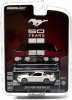 1:64 Anniversary Collection Series 1 2010 Ford Mustang GT Greenlight