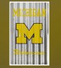 Michigan University Wolverines Corrugated Large Sign by Signs4Fun