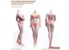 1/6 Pale Buxom Women Female Super-Flexible Seamless PL-MB2019-S28A