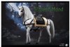 POPTOYS 1/6 Scale War Horse for Figures EX21-B