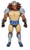 Thundercats Ultimates Wave 2 Grune The Destroyer Super 7