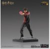 Harry Potter Art Scale Statue 1:10 Iron Studios 906104