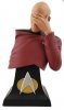 SDCC 2020 Star Trek TNG Picard Facepalm Limited Ed Bust Icon Heroes