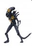 1:18 Aliens Battle Damage Alien Warrior PX Figure Hiya Toys