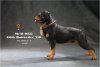 1/6 Scale Mr. Z Animal Model Rottweiler MRZ055C