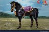 1/6 Scale Samurai Horse SA0097C Star Ace