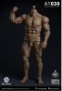 World Box 1/6 Durable Strong Body Action Figure WB-AT030 