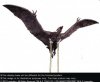 Godzilla 2019 Toho Series Rodan 10 inch Figure X Plus