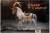 POPTOYS 1/6 Eagle Knight Guard Silver armor Horse ALS012