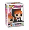 Pop! Animation Powerpuff Girls Blossom #1080 Vinyl Figure Funko