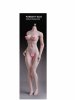 TBLeague 1:6th Seamless Body Medium Bust Size Pale PL-MB2017-S22A