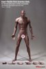 1/6th Scale Super Flexible Male Seamless Body-M36 PL2018-M36