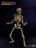 Coo Model 1/6 Scale CM-BS003  Human Skeleton Body 2.0 Metal Joint 
