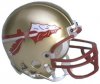 Florida State Seminoles Replica Riddell Mini Helmet