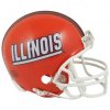 NCAA Illinois Fighting Illini Mini Football Helmet Riddell