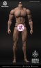 World Box 1/6 Durable Action Figure Body Ripped WB-AT027