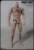 1/6 Articulated Male Hair Body WB-AT008  World Box