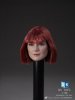 DSTOYS 1/6 Female Head with Short Red Hair DS-D006