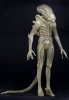 1/4 Scale Alien Translucent Prototype Suit Concept Figure by Neca