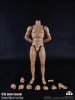 COOMODEL 1/6 Sixth Scale Standard Muscle Arm Body BD007