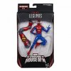 Marvel Spider-Man Legends House of M Figure Hasbro