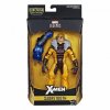 Marvel X-Men 6-inch Legends Series Sabretooth Hasbro