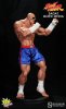 1/4 Scale Street Fighter 21" inch Sagat Statue by PopCultureShock