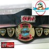 ECW Television TV Championship Replica Belt