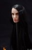  1/6 Scale Action Figure Female Head Long Straight Black Hairstyle 2