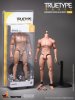 1/6 Scale Truetype Male Body - Advanced Muscular Body by Hot Toys