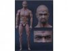 1/6 Scale Heroik Muscle Figure African-American