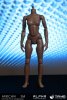African Alpha Headless Small Bust Female Action Figure Body Triad Toys