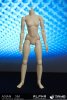 Asian Alpha Headless Small Bust Female Action Figure by Triad Toys