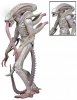 Alien Series 9 Action Figure Aliens Albino Alien Neca