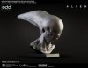 Alien Neomorph Life-Size Head Prop Replica 903719 Cool Props 