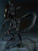 S.H. MonsterArts Alien vs Predator Alien Warrior by Bandai