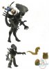 Aliens Minimates Deluxe Queen 2 pack Diamond Select Toys