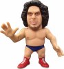 16D Collection Wwe Andre The Giant Vinyl Figure
