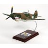P-40E Warhawk 1/24 Scale Model AP40AVTS by Toys & Models